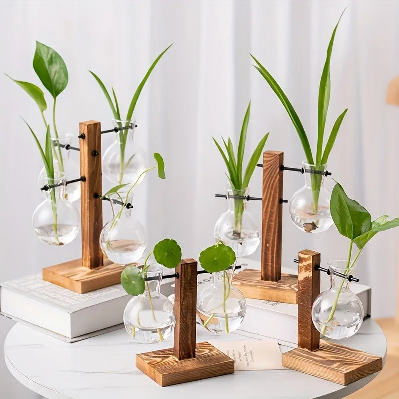 Floreros de Bulbo Hidropónicos con Base de Madera